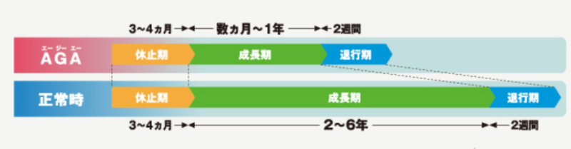 急に髪の毛が細くなったらagaの薬で髪の毛を守ろう 男性向け Corosuke Blog